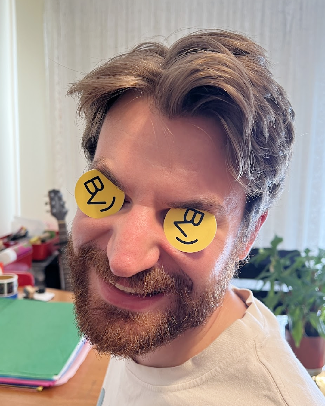 BV Face Sticker